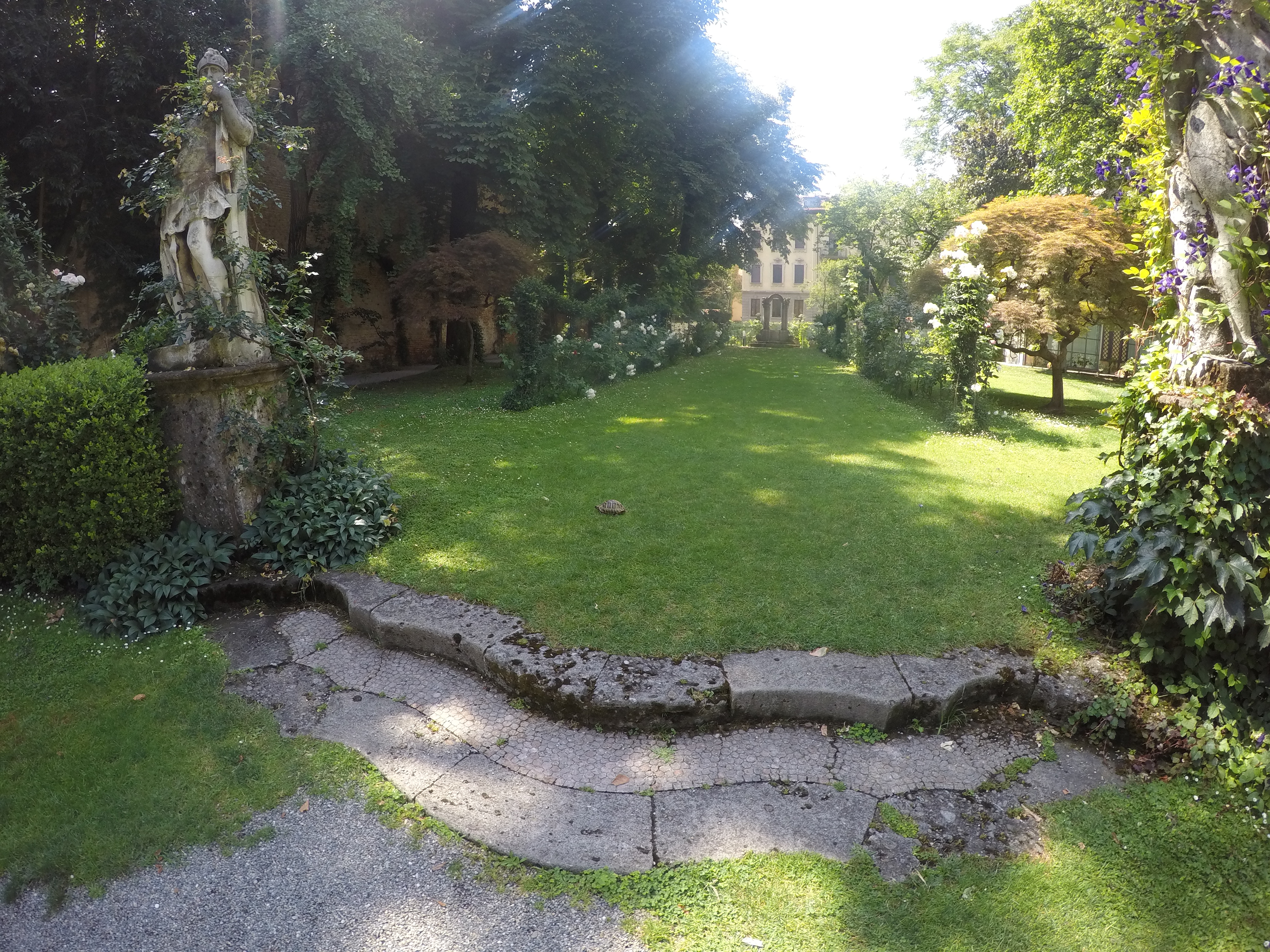 DCIM100GOPROGOPR0518.