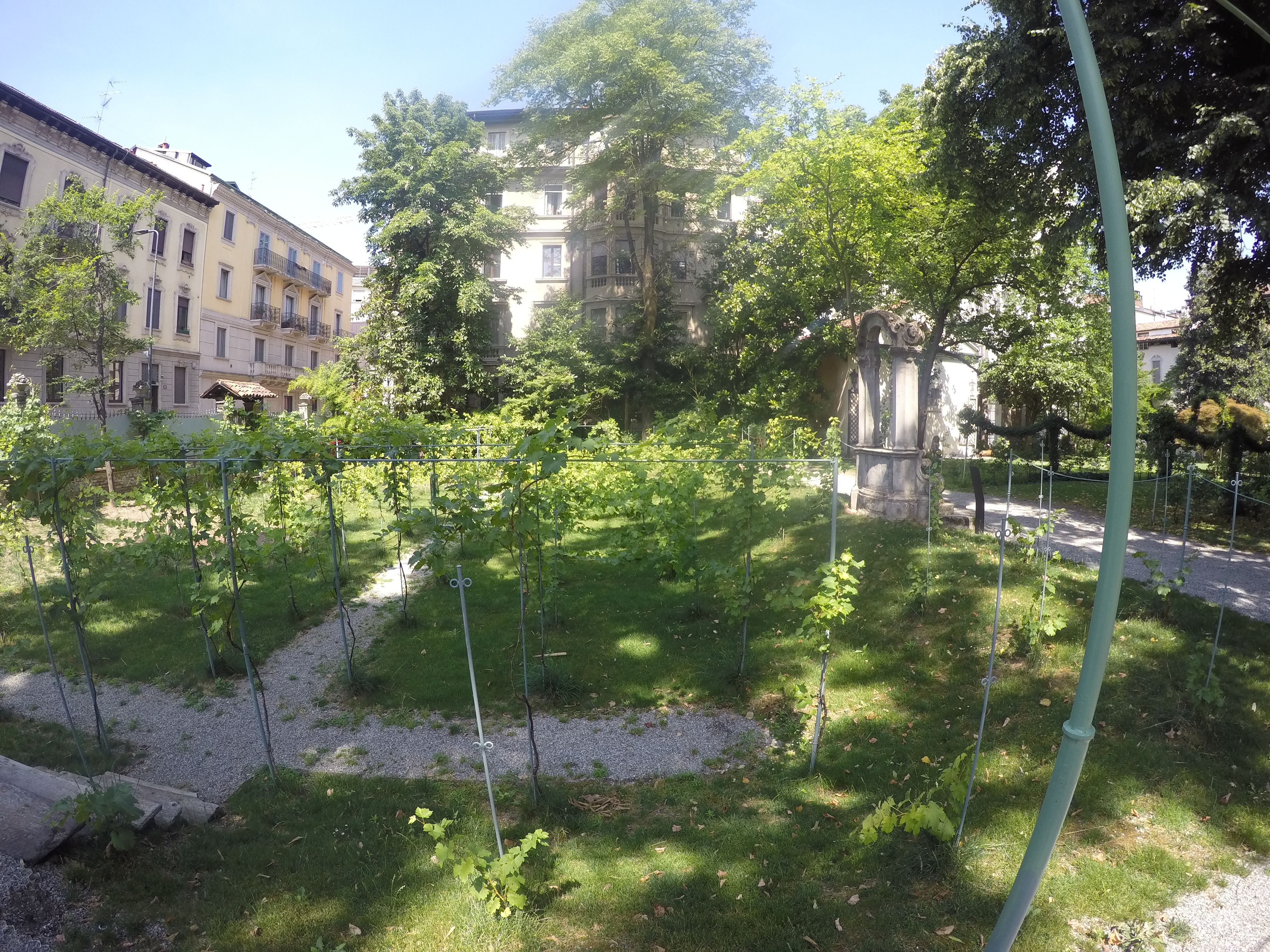 DCIM100GOPROGOPR0525.