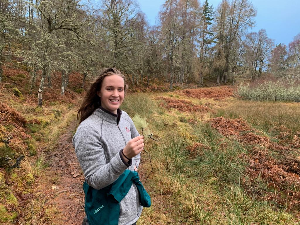 ff4880ce-6c07-4610-9ae6-47d1867d0e04