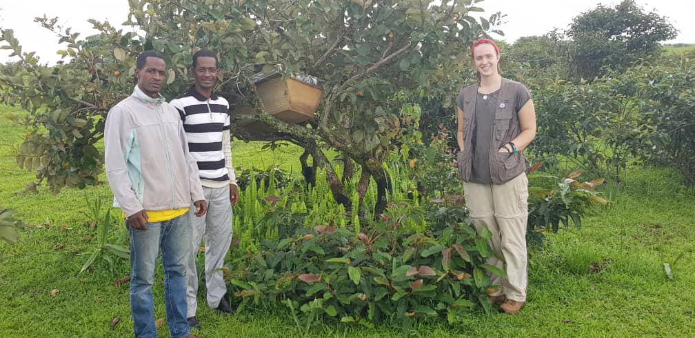 2a52b873-03a8-46ff-bdf9-d9287f2789ec